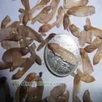 寧波榮達(dá)苗木場_世界工廠網(wǎng)全球企業(yè)庫