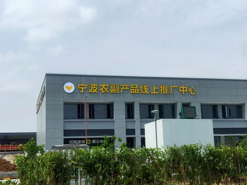 寧波農(nóng)副產(chǎn)品物流中心一期試運(yùn)營(yíng)開啟 農(nóng)產(chǎn)品流通新樞紐，便捷交通指南助您暢行