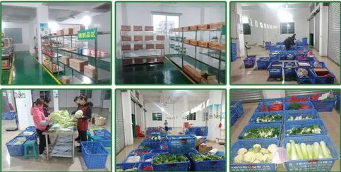 煜鮮農(nóng)副產(chǎn)品配送 從田間到餐桌，守護(hù)您的每一餐新鮮